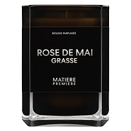 Rose de Mai Grasse