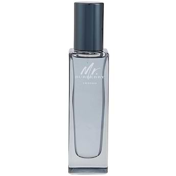 Mr. Burberry Indigo