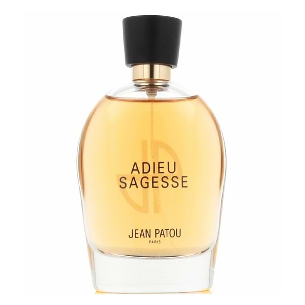 Adieu Sagesse