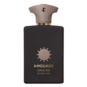 レア物 AMOUAGE SILVER Man オードパルファム 100ml Silver Man Amouage for Men Eau de Parfum 100ml New Factory