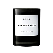 Burning Rose