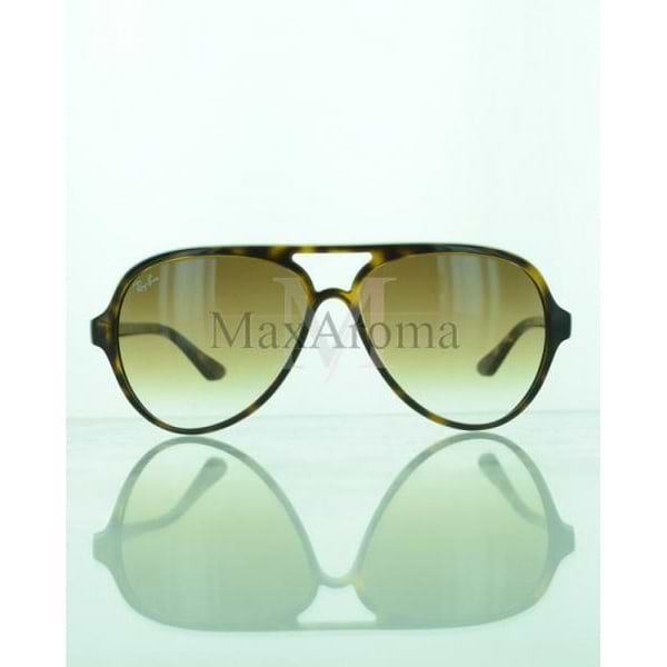 RB 4125 Sunglasses 