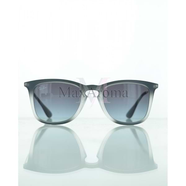 RB 4221 Sunglasses 