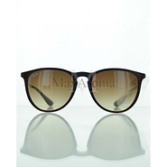 RB 4171 Sunglasses 