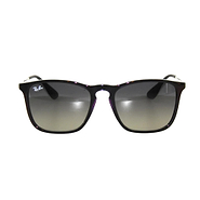RB 4187 Sunglasses 