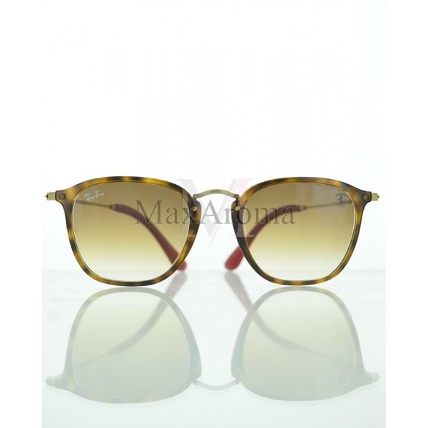 RB 2448NM Sunglasses 