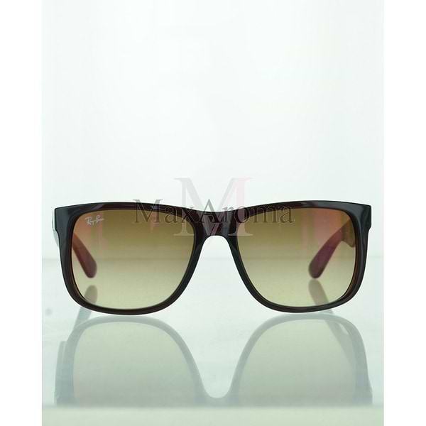 RB 4165 Sunglasses 
