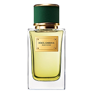 Velvet Vetiver