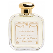 Rosa Gardenia