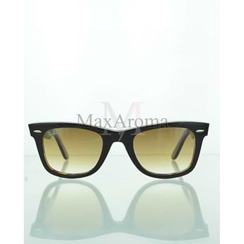 RB 2140 Sunglasses 