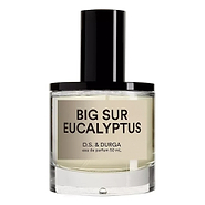 Big Sur Eucalyptus