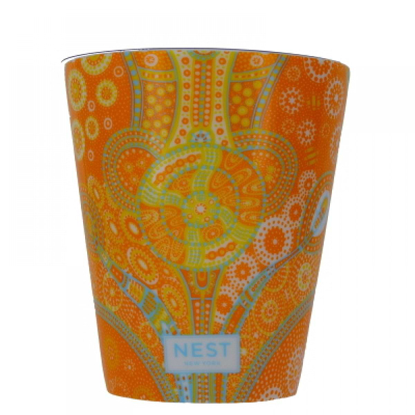 Pineapple & Driftwood