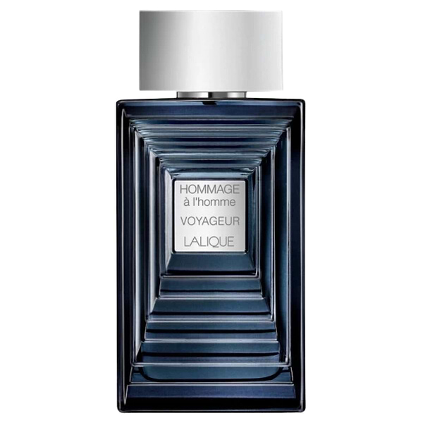 Hommage A L'homme Voyageur