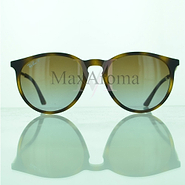RB 4274 Sunglasses 